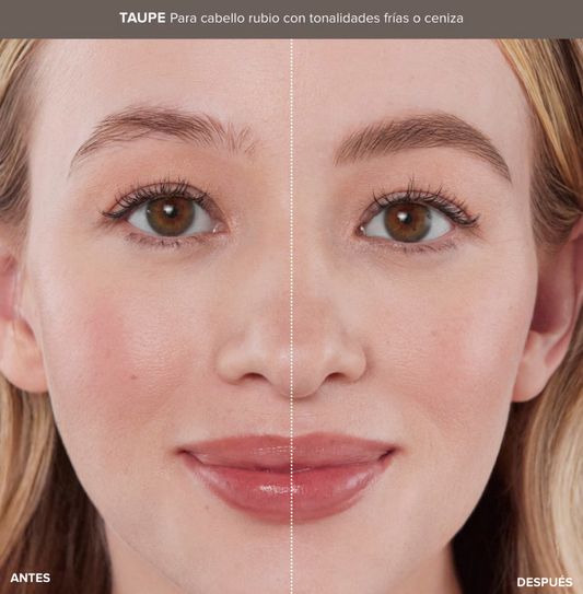 Anastasia Lifted § Defined Brow Duo (Pre-orden)