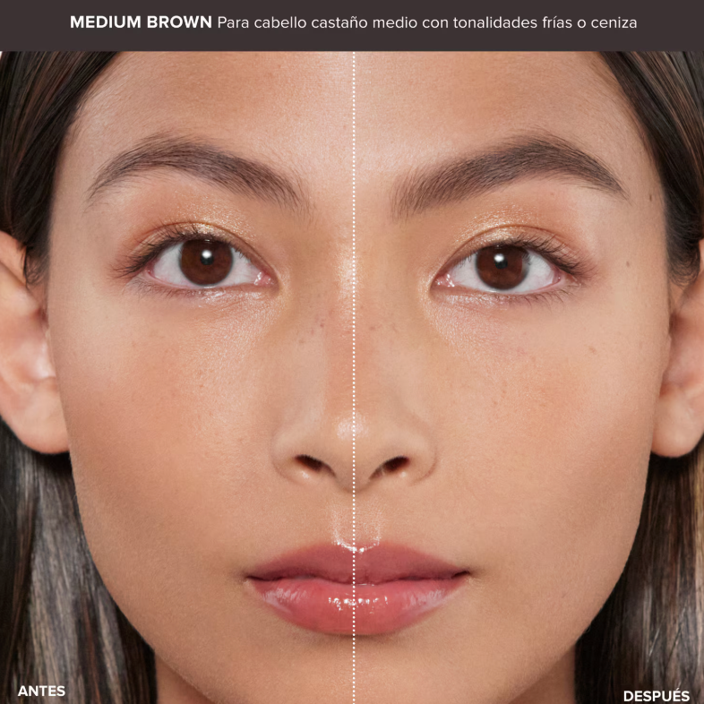 Anastasia Lifted § Defined Brow Duo (Pre-orden)