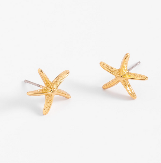Aretes Estrella de Mar (Pre-orden)